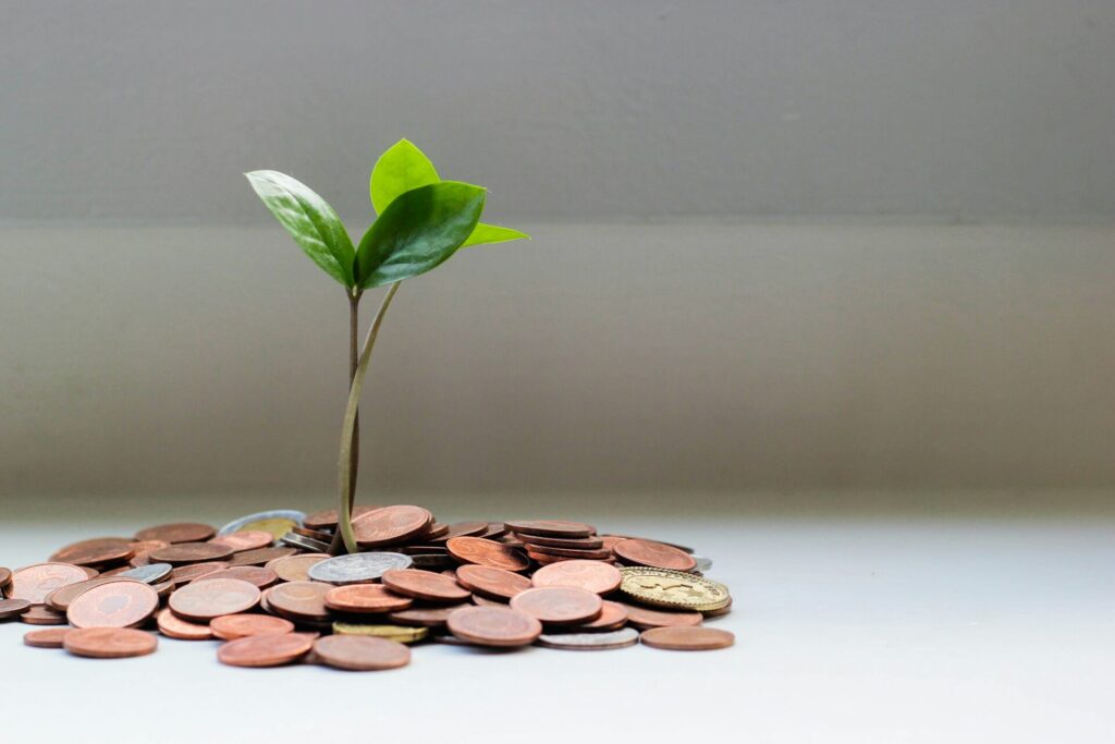 Symbolic image of a growing plant for the blog article Happy Birthday E-Commerce