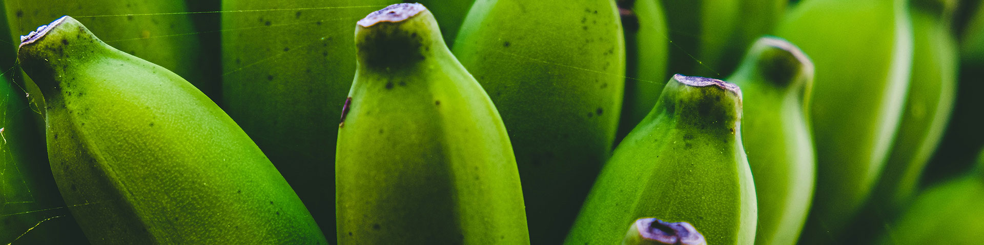 grüne Banane