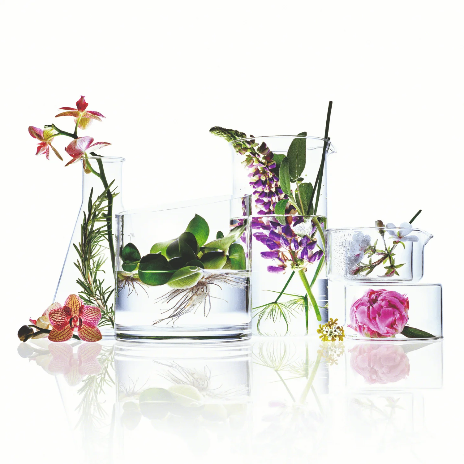 Naturkosmetik-Ingredienzien in Glasgefäßen – Börlind Success Story