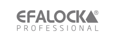 Logo von Efalock in grau