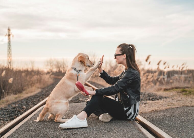Frau, die ein High-Five mit einem Hund macht