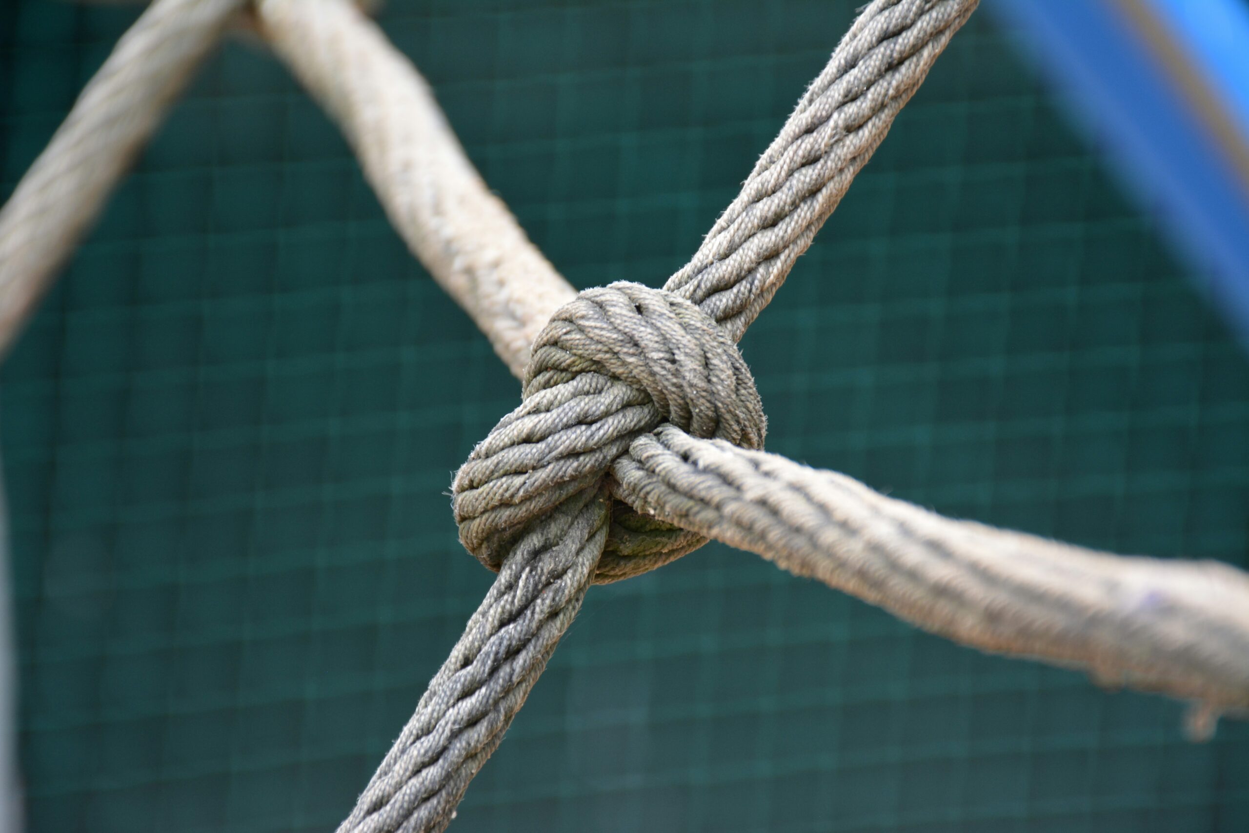 ERP-Shopware Integration
